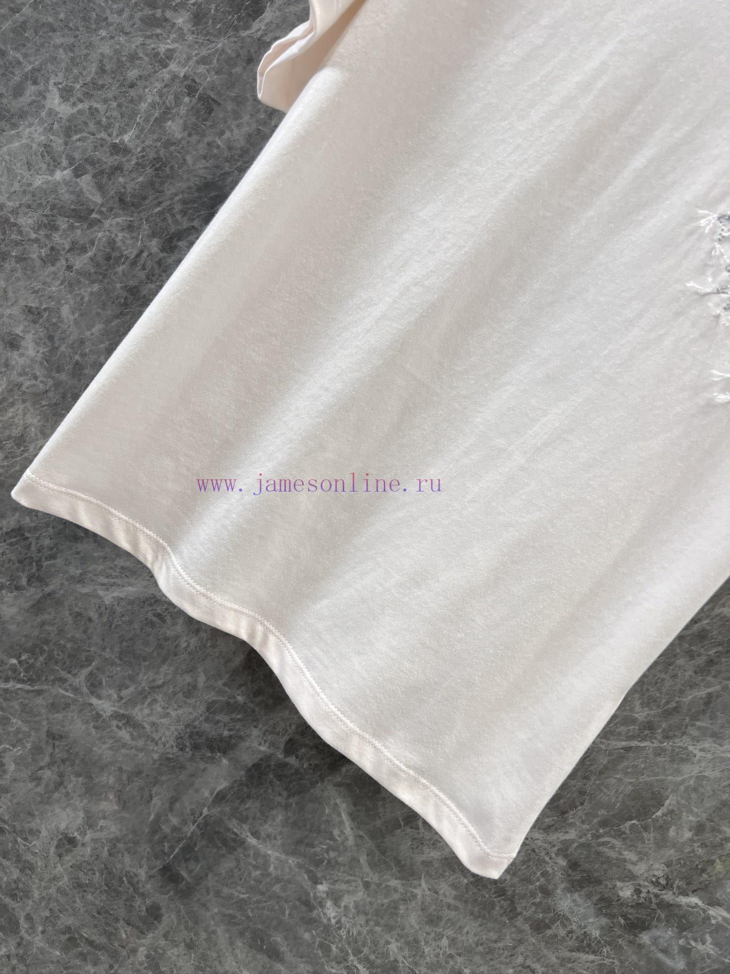 ZT61076 Dior 25Ss Spring/Summer New Letter Embroidered Round Neck Flying Sleeve T-shirt | Made 3vd310as - Image 5